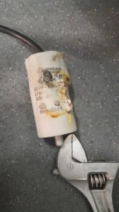 20230912_111556-169x300